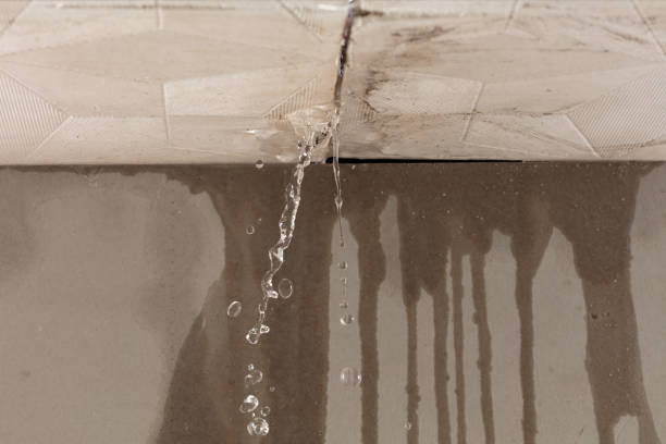 Professional Structural Drying technician working in Owensville, OH
